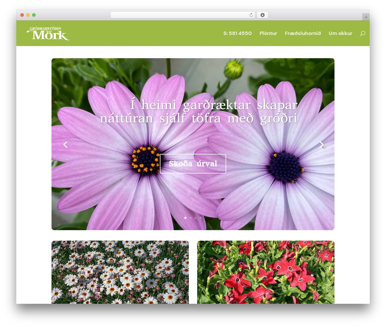 Divi WordPress theme - mork.is Divi WordPress theme - mork.is