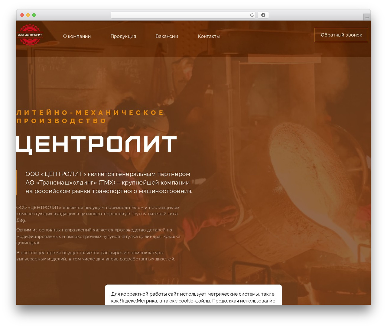 Hello Elementor WordPress theme - centrolit-vrn.ru