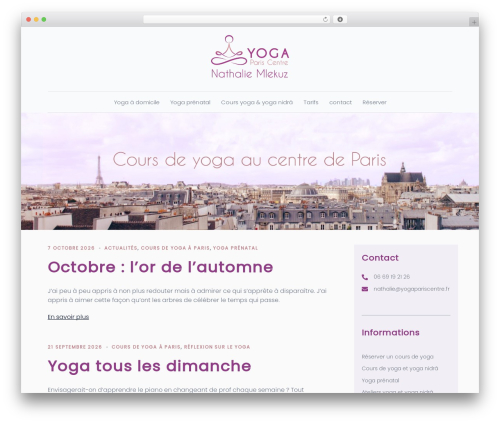 Social Media Icons Widget (spoontalk-social-media-icons-widget) free WordPress plugin - yogapariscentre.fr
