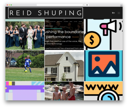 Raven WordPress plugin - reidshuping.com