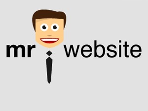 Theme WordPress MrWebsite Wordpress Theme by Peter Arends