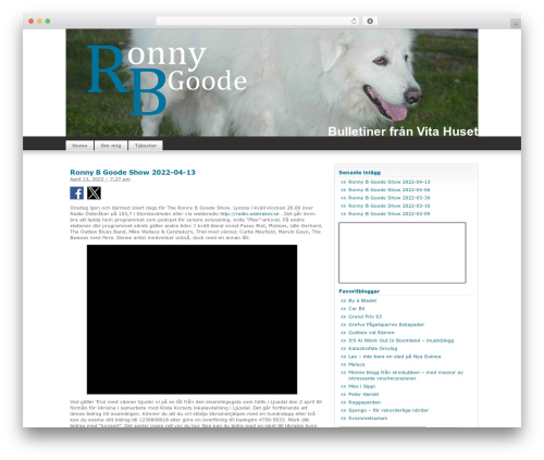 Theme WordPress Silver Light - ronnybgoode.se