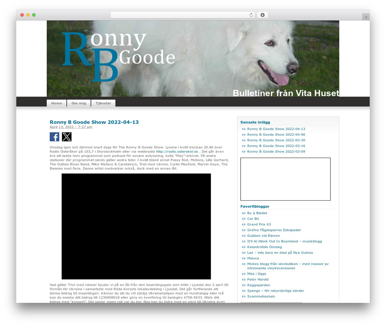 Theme WordPress Silver Light - ronnybgoode.se