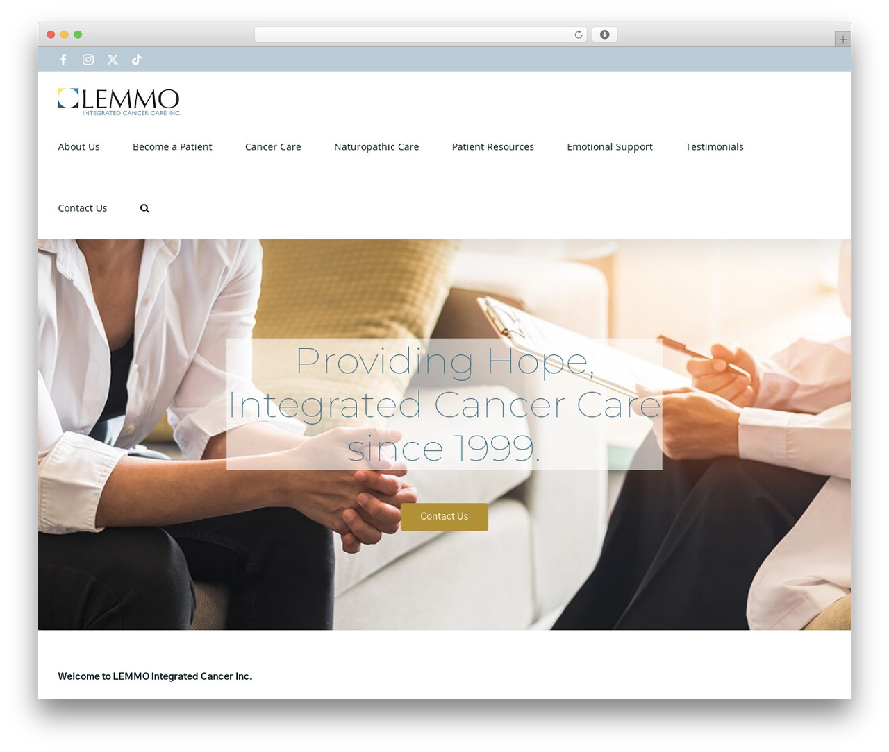 WordPress theme Avada Child - lemmo.com