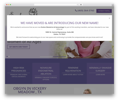 Theme WordPress Ernst - tshimerobgyn.com