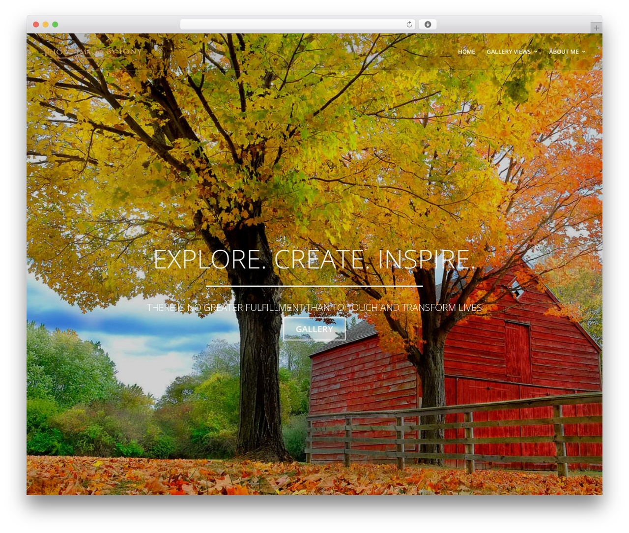 TopPic WordPress theme - photoimagesbytony.com