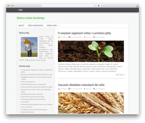 TruePixel WordPress theme - goralski.com.pl