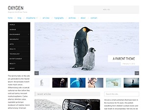 WordPress theme REC by Richard Clark - http://richclarkdesign.com