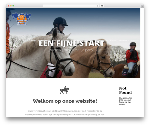 Create theme WordPress - rijverenigingzelhem.nl