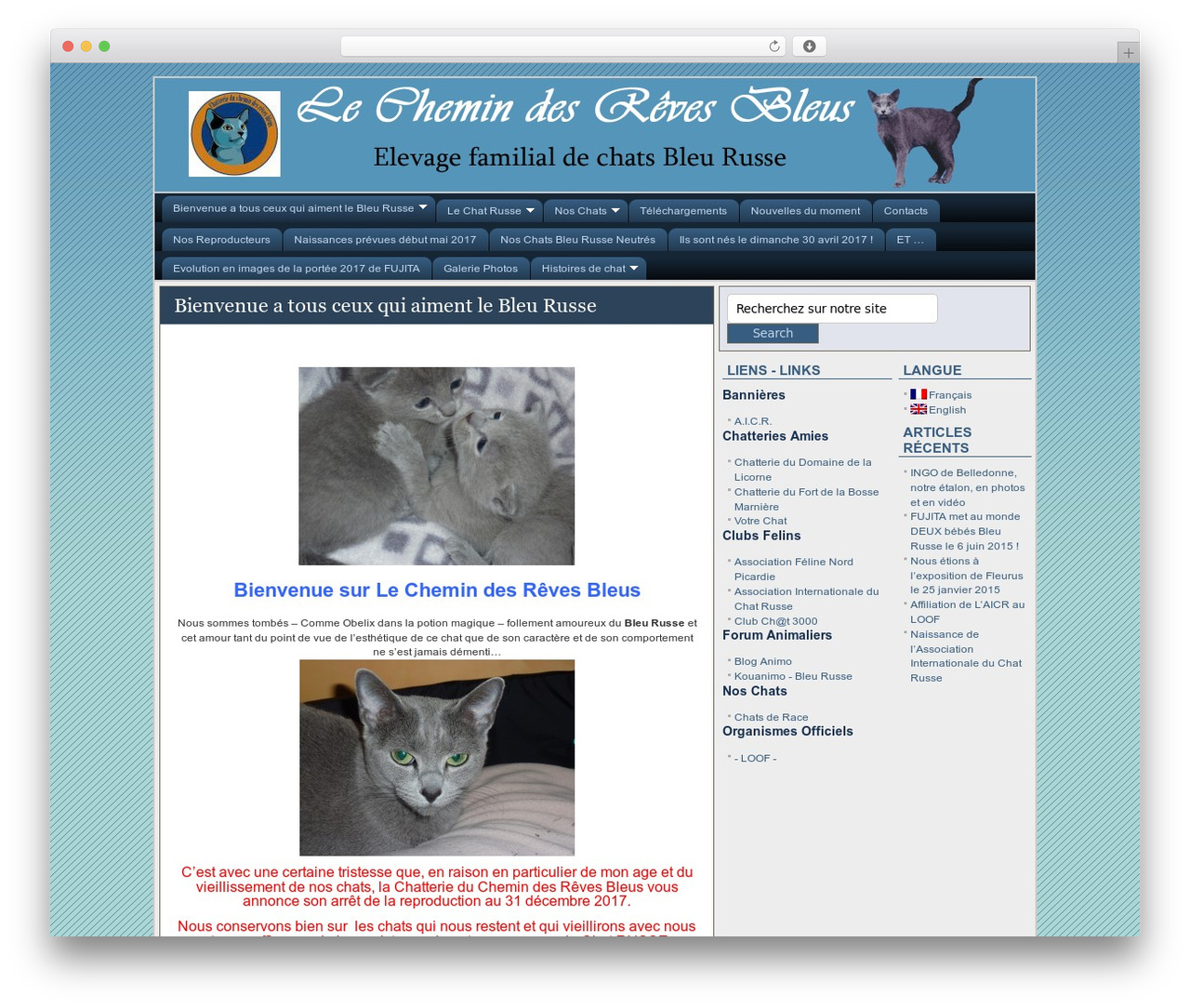 WordPress theme FlexSqueeze - revesbleus.net WordPress theme FlexSqueeze - revesbleus.net