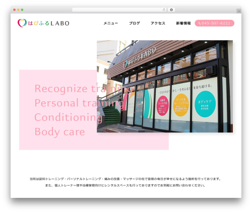 WordPress theme Themify Basic - www.hapifuru.com