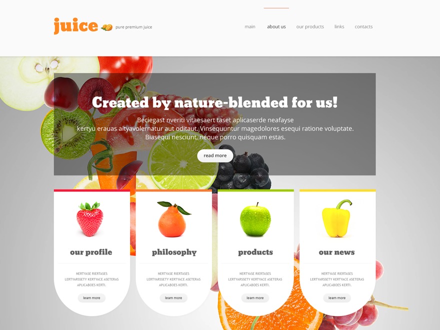 theme3350 WordPress theme