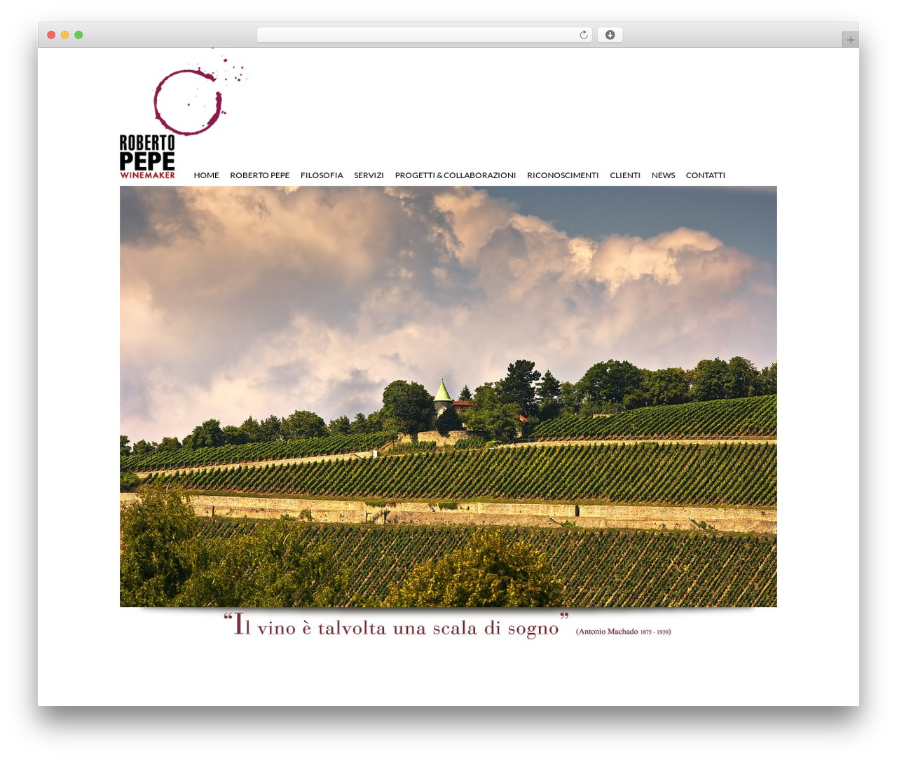 WordPress theme Boldy - robertopepe.it