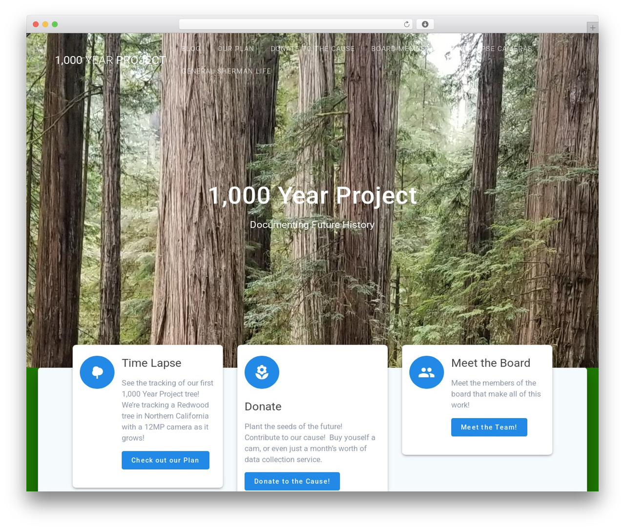 WordPress theme Materialis - 1000yearproject.org
