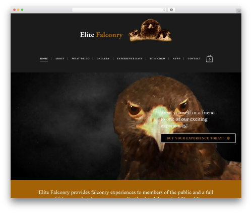Automatic YouTube Gallery (automatic-youtube-gallery) free WordPress plugin - elitefalconry.com Automatic YouTube Gallery (automatic-youtube-gallery) free WordPress plugin - elitefalconry.com