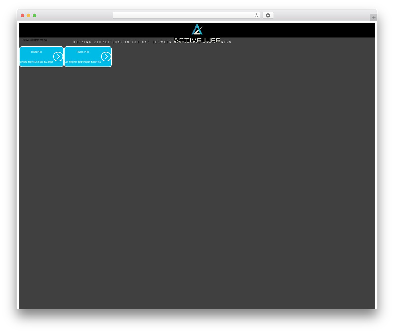 Theme WordPress Piney - activelifeprofessional.com