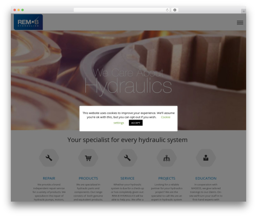 WordPress theme Big Junior - rem-b.com