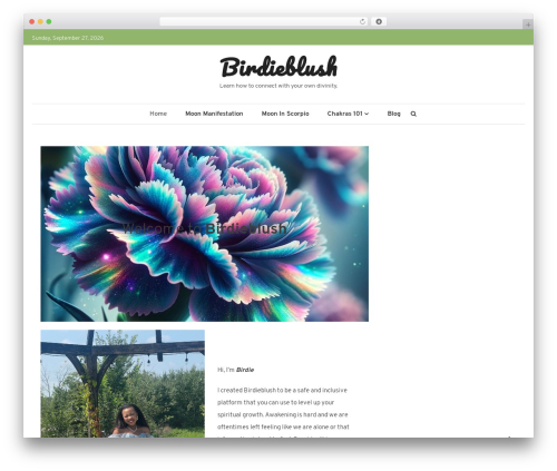 Wisdom Pro theme WordPress - birdieblush.com