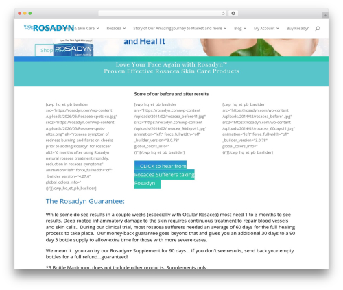 WordPress theme Divi - rosadyn.com