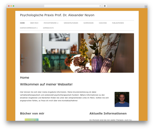 WordPress theme Tiny Framework - alexandernoyon.de WordPress theme Tiny Framework - alexandernoyon.de