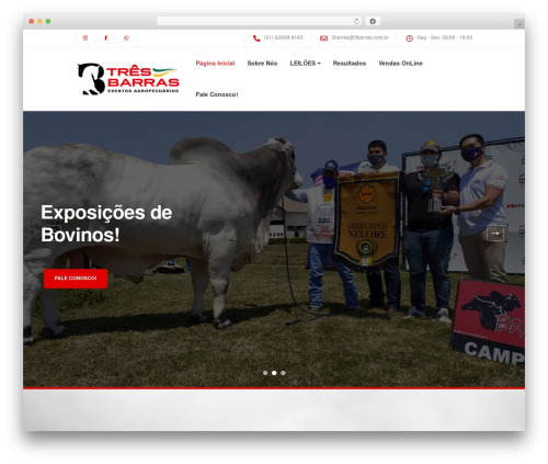 Best WordPress theme Ekko - 3barras.com.br