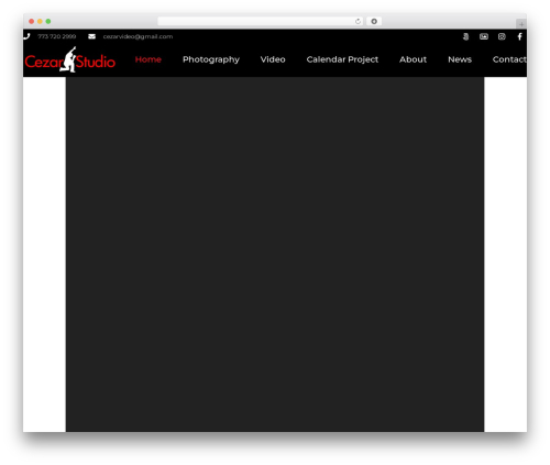 Theme WordPress Framed - cezarstudio.com