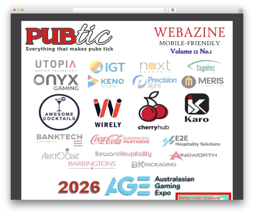 Wptubespeed WordPress plugin - webazine.pubtic.com.au