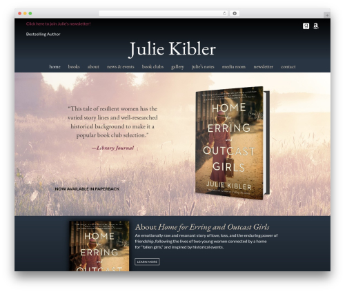 Novelist (novelist) free WordPress plugin - juliekibler.com