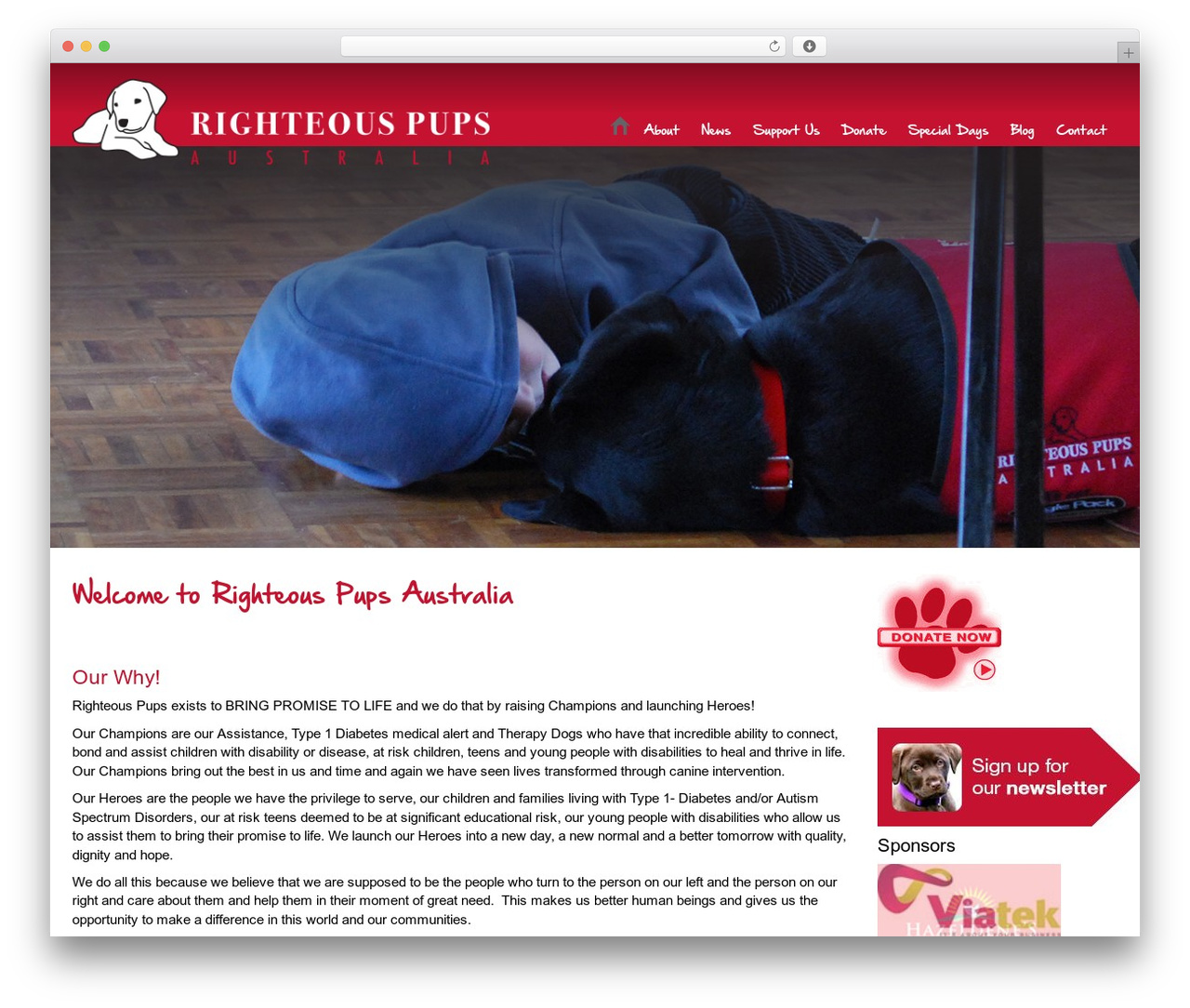 Default top WordPress theme - righteouspups.org.au