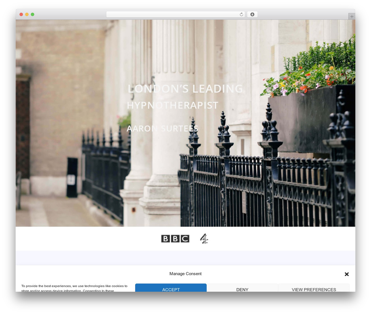 dev WordPress theme - cityhypnosis.com