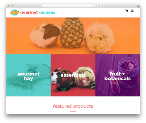 Alidswoo WordPress plugin - gourmetguineas.com
