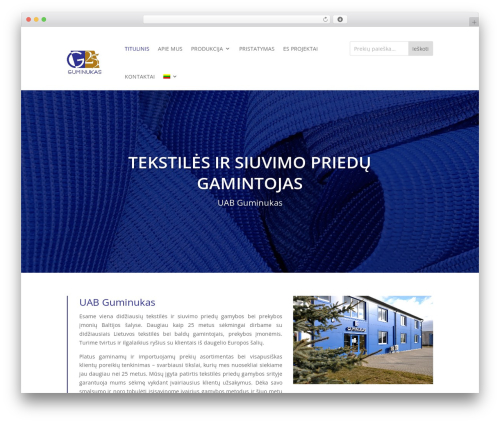 WordPress theme Divi - guminukas.lt