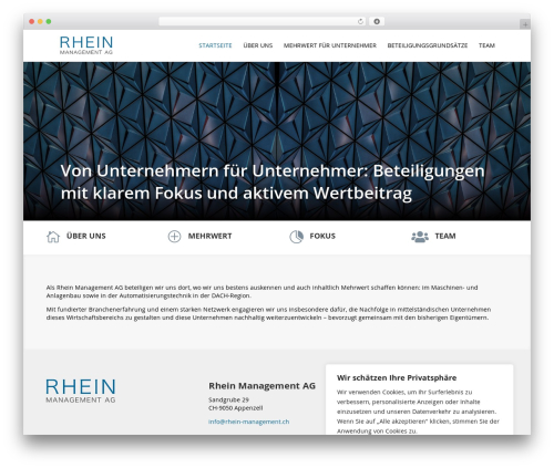 WordPress theme Divi - rhein-management.ch
