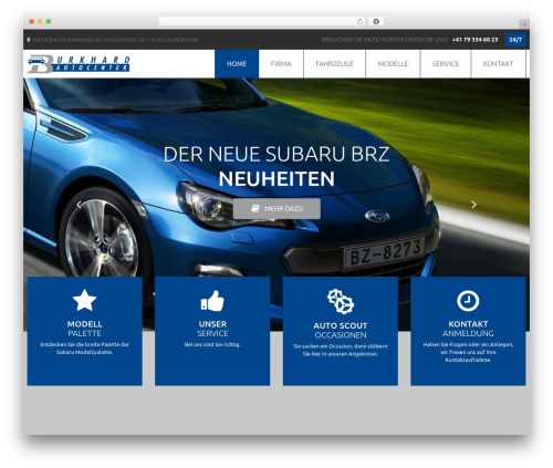 Cherry lazy load WordPress plugin - subaru32.ch