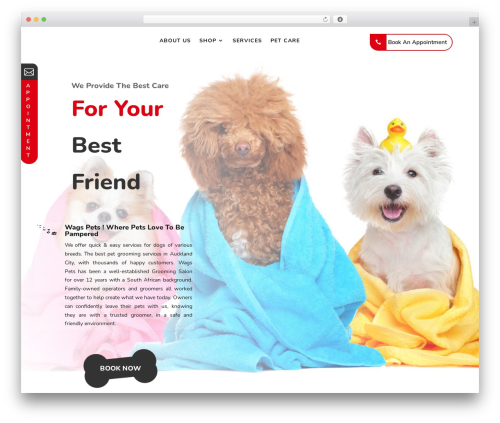 Divi WordPress theme - wagspets.co.nz