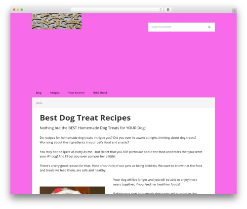 Executive Pro theme WordPress - best-dog-treat-recipes.com