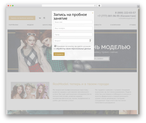 NEBlue best WordPress theme - rosmodel.com