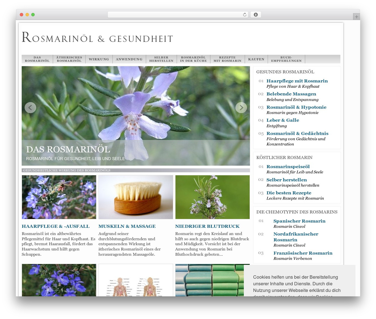 Network-Theme WordPress theme - rosmarinoel.net
