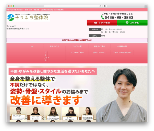 Selfull theme WordPress - sorimachi-seitai.com