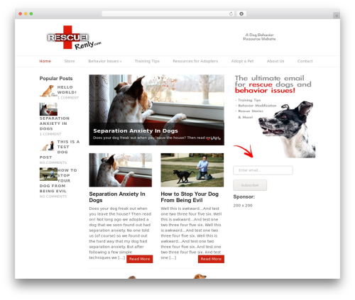 Split WordPress page theme - rescuerenly.com