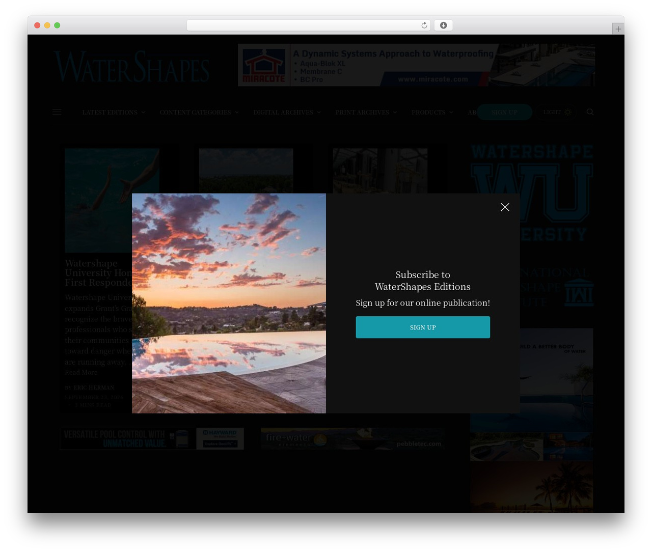 The Issue Child Theme WordPress theme - watershapes.com