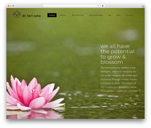 Theme WordPress The7 Classic - drterisota.com Theme WordPress The7 Classic - drterisota.com