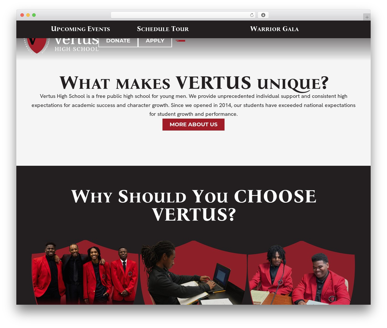 WordPress theme Hello Elementor - vertusschool.org