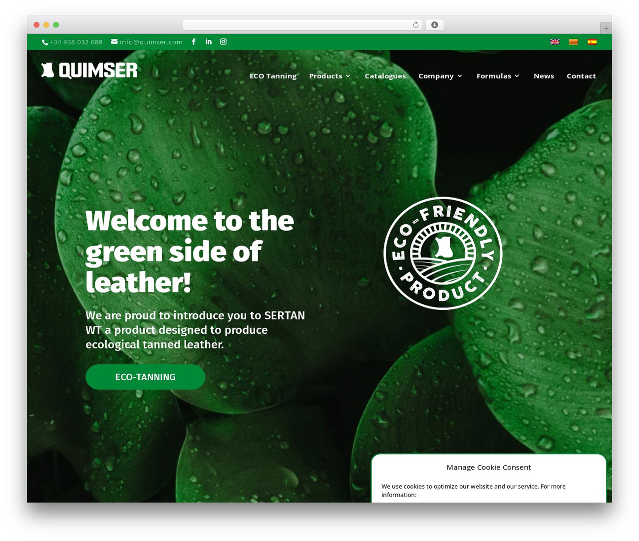 Divi theme WordPress - quimser.com