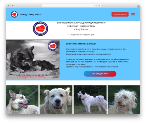 Kandinsky theme WordPress - zoonovoross.ru