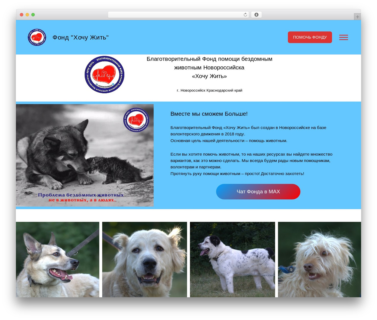 Kandinsky theme WordPress - zoonovoross.ru