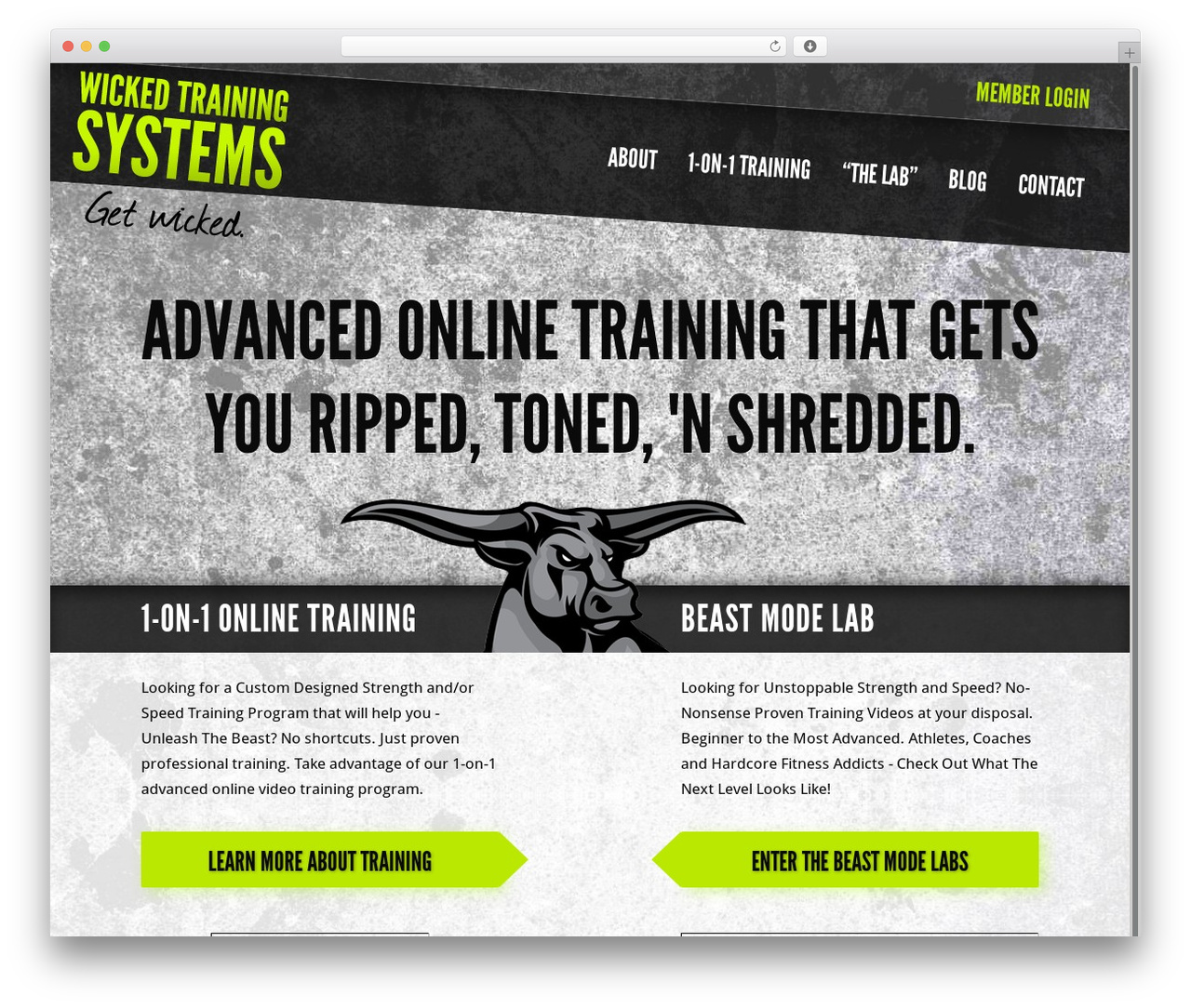 Marketers Delight WordPress theme - wickedtrainingsystems.com