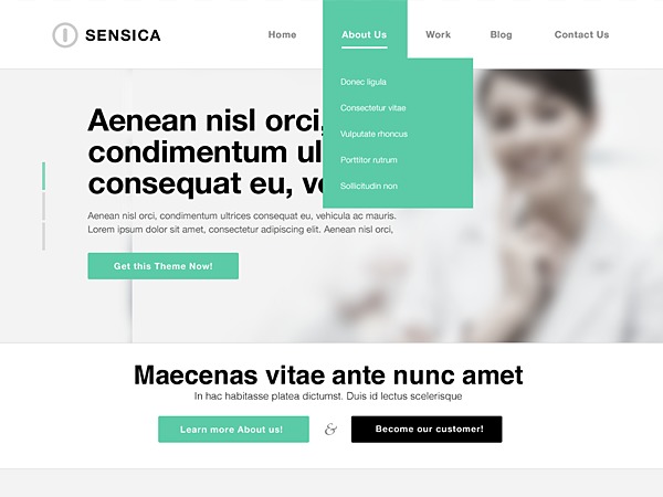 Sensica premium WordPress theme