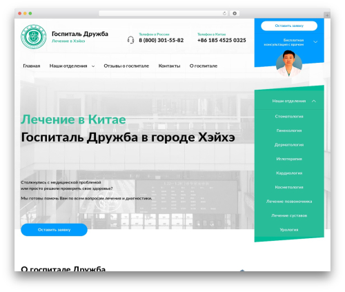 Theme theme WordPress - hospital-druzhba.ru