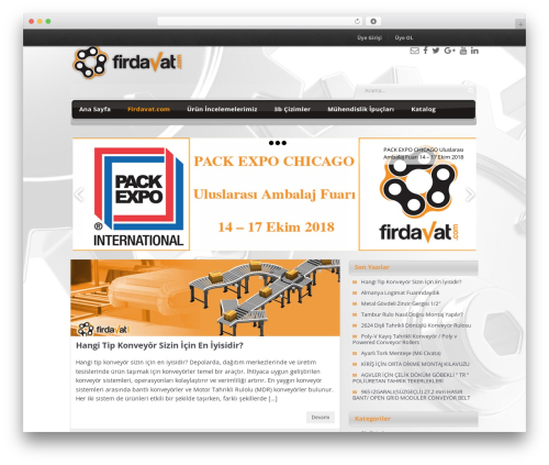 WordPress theme NEBlue - firdavat.net